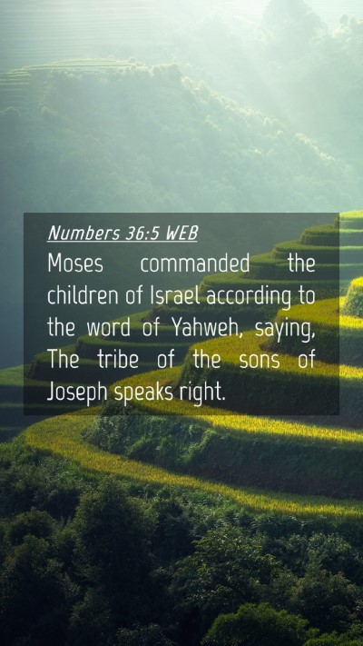 Picture 04 - Numbers 36:5 WEB Mobile Phone Wallpaper - Moses commanded the children of Israel according - Mobile Bible Verse Wallpaper
