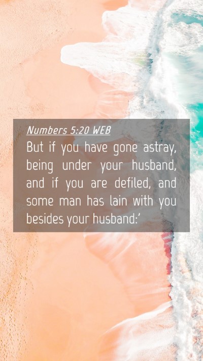Picture 04 - Numbers 5:20 WEB Mobile Phone Wallpaper - But if you have gone astray, being under your - Mobile Bible Verse Wallpaper