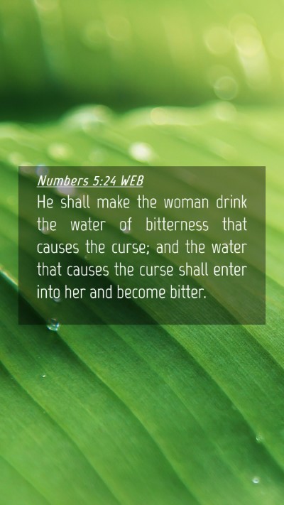 Picture 04 - Numbers 5:24 WEB Mobile Phone Wallpaper - He shall make the woman drink the water of - Mobile Bible Verse Wallpaper