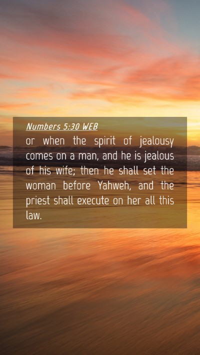 Picture 04 - Numbers 5:30 WEB Mobile Phone Wallpaper - or when the spirit of jealousy comes on a man, - Mobile Bible Verse Wallpaper