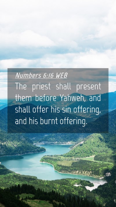 Picture 04 - Numbers 6:16 WEB Mobile Phone Wallpaper - The priest shall present them before Yahweh, and - Mobile Bible Verse Wallpaper
