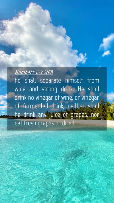 Picture 04 - Numbers 6:3 WEB Mobile Phone Wallpaper - he shall separate himself from wine and strong - Mobile Bible Verse Wallpaper