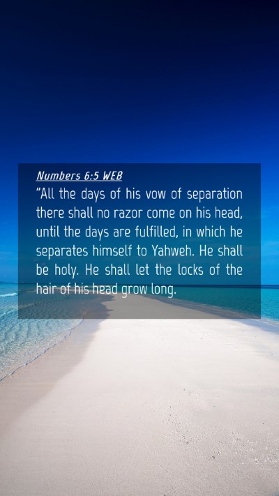 Picture 04 - Numbers 6:5 WEB Mobile Phone Wallpaper - 