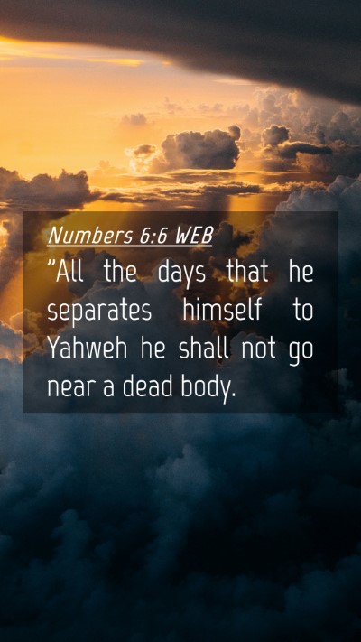 Picture 04 - Numbers 6:6 WEB Mobile Phone Wallpaper - 