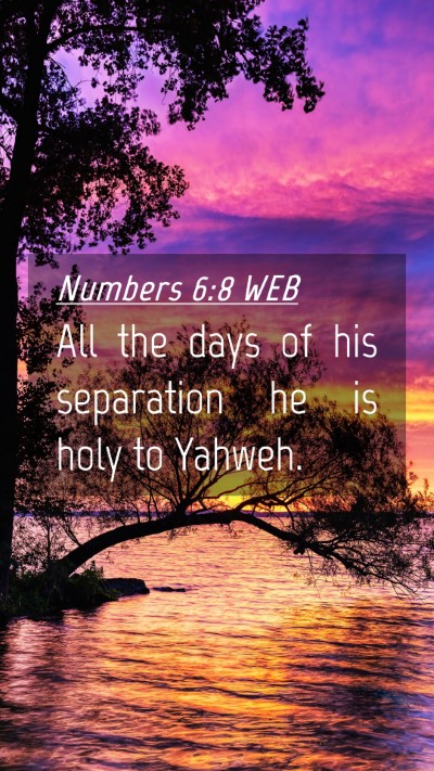 Picture 04 - Numbers 6:8 WEB Mobile Phone Wallpaper - All the days of his separation he is holy to - Mobile Bible Verse Wallpaper