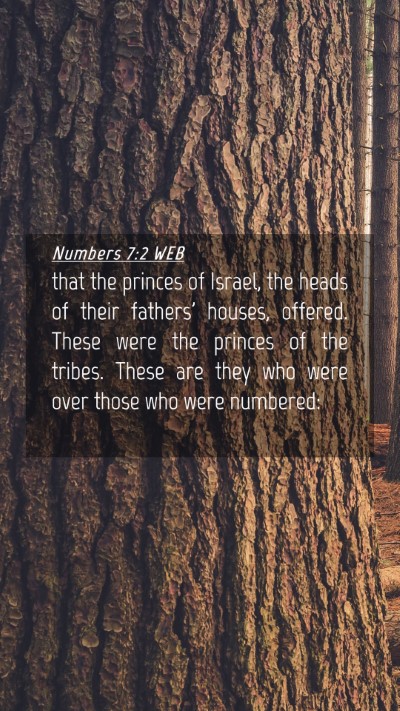 Picture 04 - Numbers 7:2 WEB Mobile Phone Wallpaper - that the princes of Israel, the heads of their - Mobile Bible Verse Wallpaper