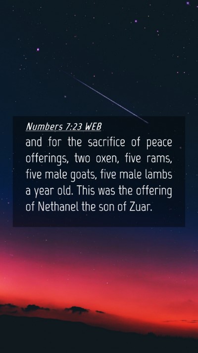 Picture 04 - Numbers 7:23 WEB Mobile Phone Wallpaper - and for the sacrifice of peace offerings, two - Mobile Bible Verse Wallpaper
