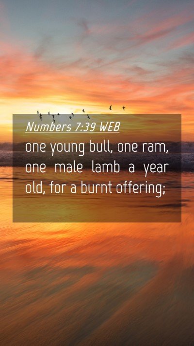 Picture 04 - Numbers 7:39 WEB Mobile Phone Wallpaper - one young bull, one ram, one male lamb a year - Mobile Bible Verse Wallpaper