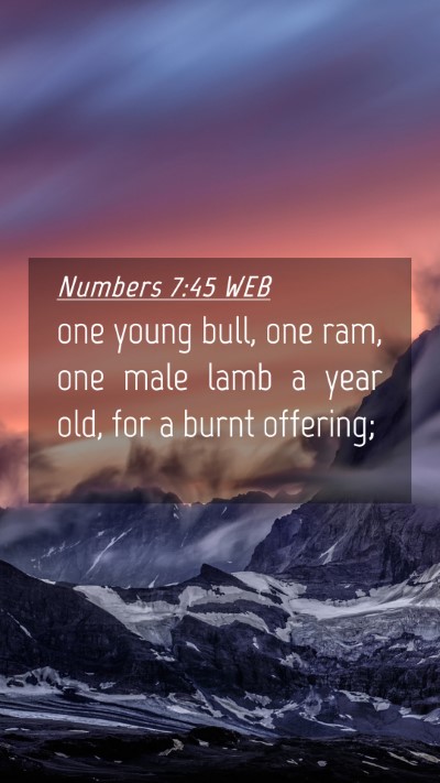Picture 04 - Numbers 7:45 WEB Mobile Phone Wallpaper - one young bull, one ram, one male lamb a year - Mobile Bible Verse Wallpaper