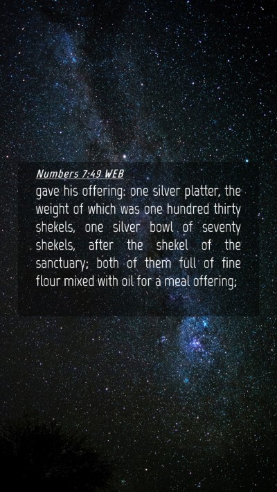 Picture 04 - Numbers 7:49 WEB Mobile Phone Wallpaper - gave his offering: one silver platter, the weight - Mobile Bible Verse Wallpaper