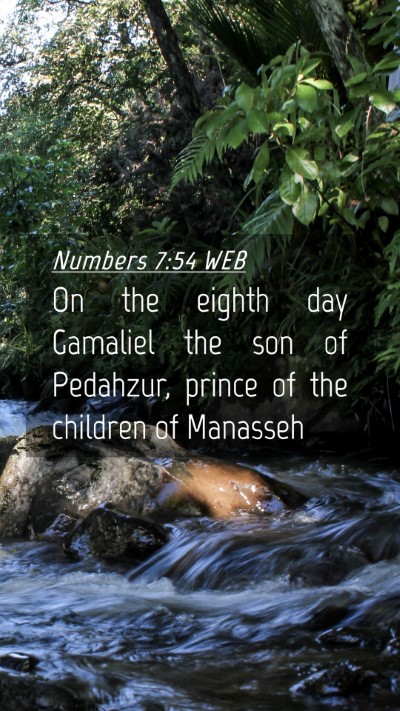 Picture 04 - Numbers 7:54 WEB Mobile Phone Wallpaper - On the eighth day Gamaliel the son of Pedahzur, - Mobile Bible Verse Wallpaper