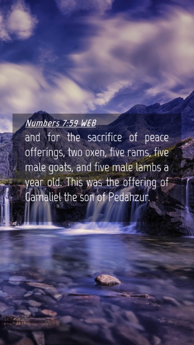 Picture 04 - Numbers 7:59 WEB Mobile Phone Wallpaper - and for the sacrifice of peace offerings, two - Mobile Bible Verse Wallpaper