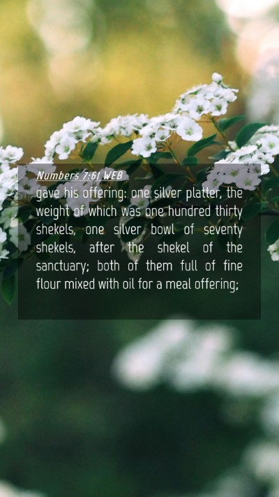 Picture 04 - Numbers 7:61 WEB Mobile Phone Wallpaper - gave his offering: one silver platter, the weight - Mobile Bible Verse Wallpaper