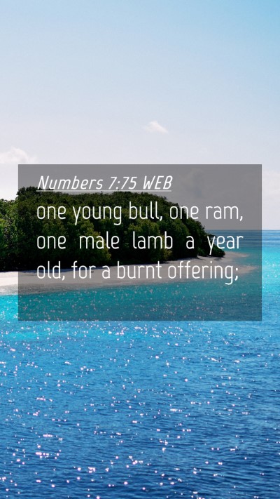 Picture 04 - Numbers 7:75 WEB Mobile Phone Wallpaper - one young bull, one ram, one male lamb a year - Mobile Bible Verse Wallpaper