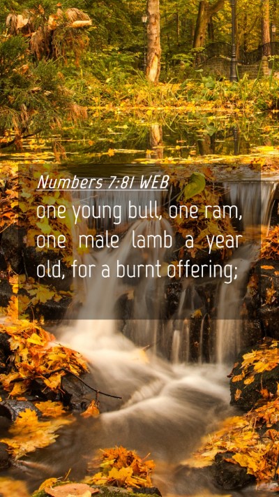 Picture 04 - Numbers 7:81 WEB Mobile Phone Wallpaper - one young bull, one ram, one male lamb a year - Mobile Bible Verse Wallpaper