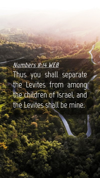 Picture 04 - Numbers 8:14 WEB Mobile Phone Wallpaper - Thus you shall separate the Levites from among - Mobile Bible Verse Wallpaper