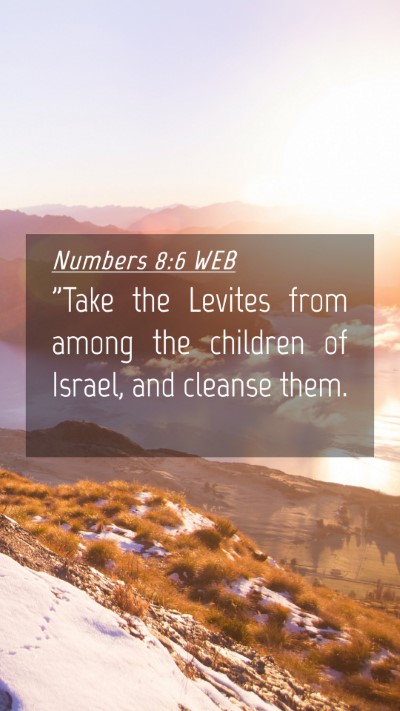 Picture 04 - Numbers 8:6 WEB Mobile Phone Wallpaper - 