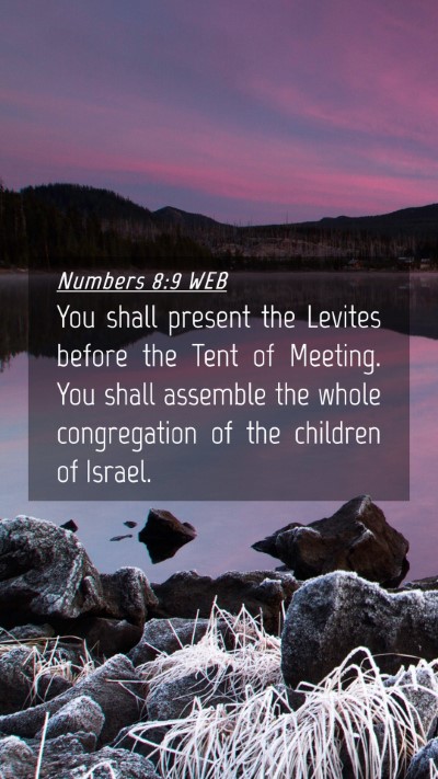 Picture 04 - Numbers 8:9 WEB Mobile Phone Wallpaper - You shall present the Levites before the Tent of - Mobile Bible Verse Wallpaper