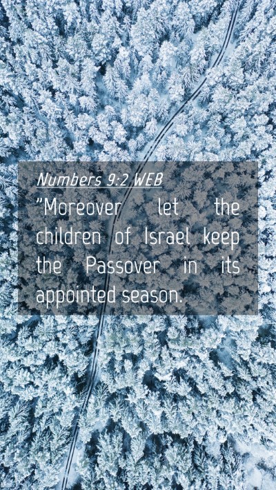 Picture 04 - Numbers 9:2 WEB Mobile Phone Wallpaper - 