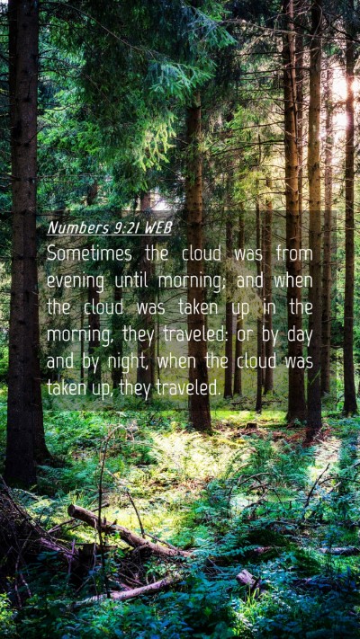Picture 04 - Numbers 9:21 WEB Mobile Phone Wallpaper - Sometimes the cloud was from evening until - Mobile Bible Verse Wallpaper