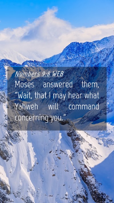Picture 04 - Numbers 9:8 WEB Mobile Phone Wallpaper - Moses answered them, 
