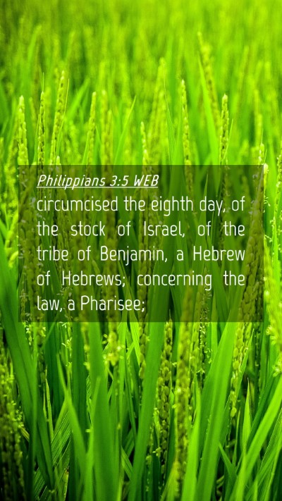 Picture 04 - Philippians 3:5 WEB Mobile Phone Wallpaper - circumcised the eighth day, of the stock of - Mobile Bible Verse Wallpaper