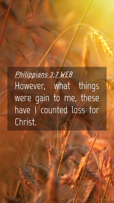 Picture 04 - Philippians 3:7 WEB Mobile Phone Wallpaper - However, what things were gain to me, these have - Mobile Bible Verse Wallpaper
