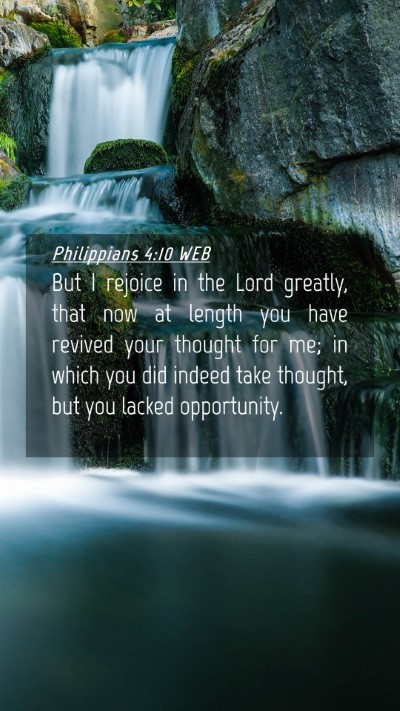 Picture 04 - Philippians 4:10 WEB Mobile Phone Wallpaper - But I rejoice in the Lord greatly, that now at - Mobile Bible Verse Wallpaper