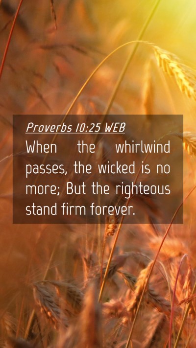 Picture 04 - Proverbs 10:25 WEB Mobile Phone Wallpaper - When the whirlwind passes, the wicked is no more; - Mobile Bible Verse Wallpaper