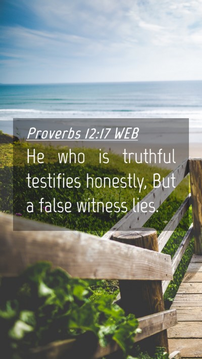 Picture 04 - Proverbs 12:17 WEB Mobile Phone Wallpaper - He who is truthful testifies honestly, But a - Mobile Bible Verse Wallpaper