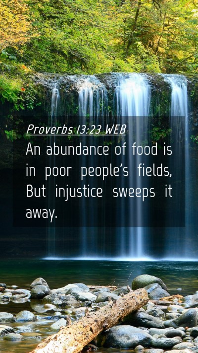Picture 04 - Proverbs 13:23 WEB Mobile Phone Wallpaper - An abundance of food is in poor people's fields, - Mobile Bible Verse Wallpaper