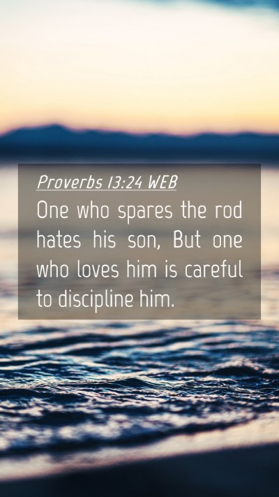 Picture 04 - Proverbs 13:24 WEB Mobile Phone Wallpaper - One who spares the rod hates his son, But one who - Mobile Bible Verse Wallpaper
