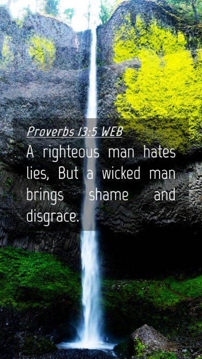Picture 04 - Proverbs 13:5 WEB Mobile Phone Wallpaper - A righteous man hates lies, But a wicked man - Mobile Bible Verse Wallpaper