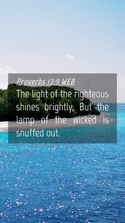 Picture 04 - Proverbs 13:9 WEB Mobile Phone Wallpaper - The light of the righteous shines brightly, But - Mobile Bible Verse Wallpaper