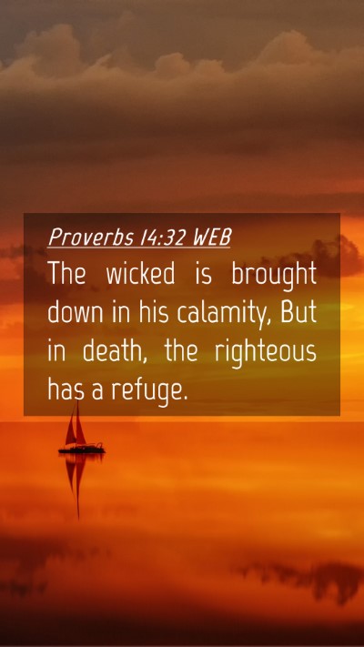 Picture 04 - Proverbs 14:32 WEB Mobile Phone Wallpaper - The wicked is brought down in his calamity, But - Mobile Bible Verse Wallpaper