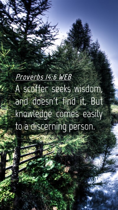 Picture 04 - Proverbs 14:6 WEB Mobile Phone Wallpaper - A scoffer seeks wisdom, and doesn't find it, But - Mobile Bible Verse Wallpaper