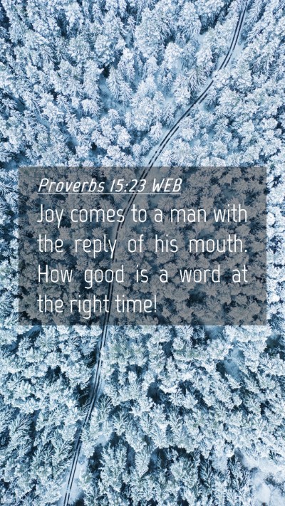 Picture 04 - Proverbs 15:23 WEB Mobile Phone Wallpaper - Joy comes to a man with the reply of his mouth. - Mobile Bible Verse Wallpaper