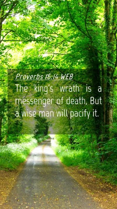 Picture 04 - Proverbs 16:14 WEB Mobile Phone Wallpaper - The king's wrath is a messenger of death, But a - Mobile Bible Verse Wallpaper