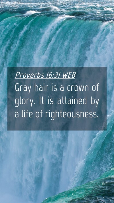 Picture 04 - Proverbs 16:31 WEB Mobile Phone Wallpaper - Gray hair is a crown of glory. It is attained by - Mobile Bible Verse Wallpaper