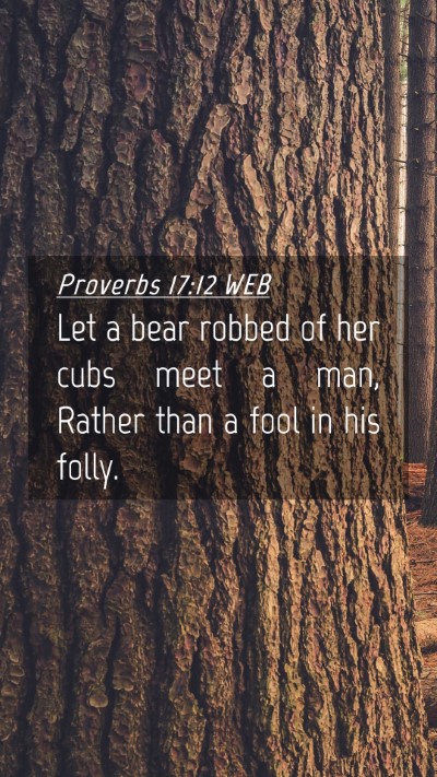 Picture 04 - Proverbs 17:12 WEB Mobile Phone Wallpaper - Let a bear robbed of her cubs meet a man, Rather - Mobile Bible Verse Wallpaper