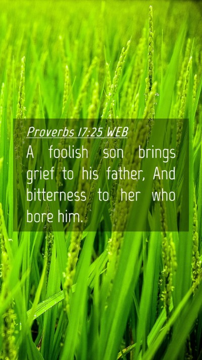 Picture 04 - Proverbs 17:25 WEB Mobile Phone Wallpaper - A foolish son brings grief to his father, And - Mobile Bible Verse Wallpaper