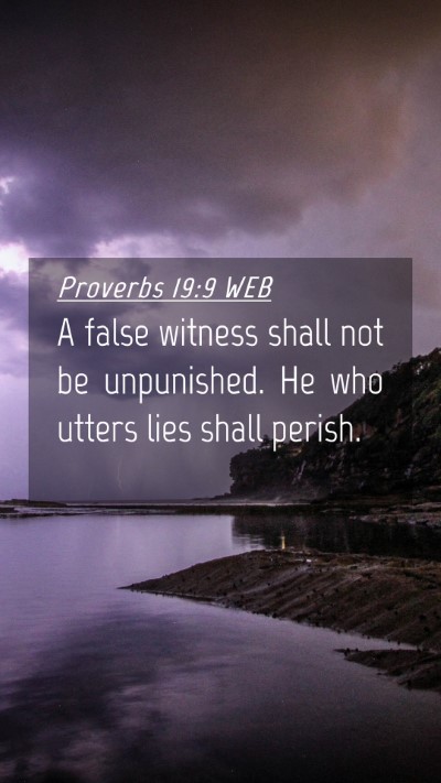 Picture 04 - Proverbs 19:9 WEB Mobile Phone Wallpaper - A false witness shall not be unpunished. He who - Mobile Bible Verse Wallpaper