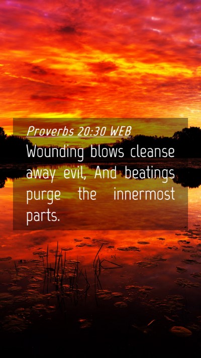 Picture 04 - Proverbs 20:30 WEB Mobile Phone Wallpaper - Wounding blows cleanse away evil, And beatings - Mobile Bible Verse Wallpaper