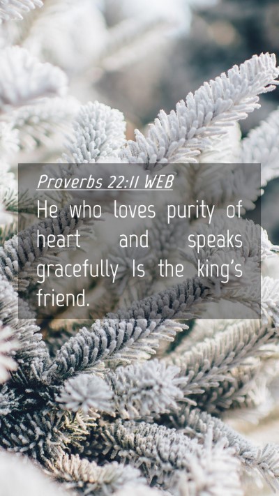 Picture 04 - Proverbs 22:11 WEB Mobile Phone Wallpaper - He who loves purity of heart and speaks - Mobile Bible Verse Wallpaper