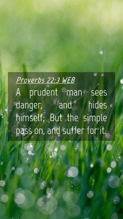 Picture 04 - Proverbs 22:3 WEB Mobile Phone Wallpaper - A prudent man sees danger, and hides himself; But - Mobile Bible Verse Wallpaper
