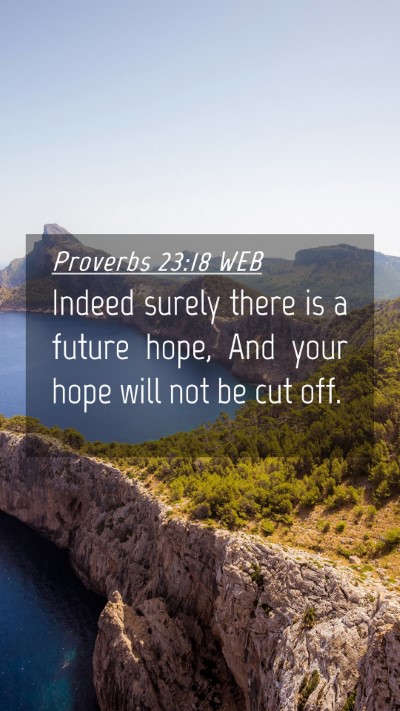 Picture 04 - Proverbs 23:18 WEB Mobile Phone Wallpaper - Indeed surely there is a future hope, And your - Mobile Bible Verse Wallpaper