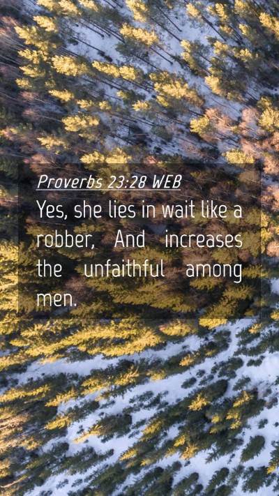 Picture 04 - Proverbs 23:28 WEB Mobile Phone Wallpaper - Yes, she lies in wait like a robber, And - Mobile Bible Verse Wallpaper
