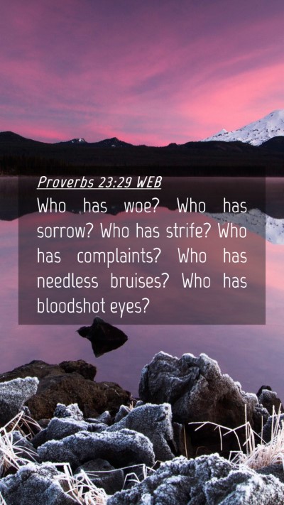 Picture 04 - Proverbs 23:29 WEB Mobile Phone Wallpaper - Who has woe? Who has sorrow? Who has strife? Who - Mobile Bible Verse Wallpaper
