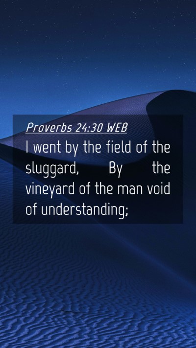 Picture 04 - Proverbs 24:30 WEB Mobile Phone Wallpaper - I went by the field of the sluggard, By the - Mobile Bible Verse Wallpaper