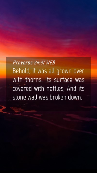 Picture 04 - Proverbs 24:31 WEB Mobile Phone Wallpaper - Behold, it was all grown over with thorns. Its - Mobile Bible Verse Wallpaper